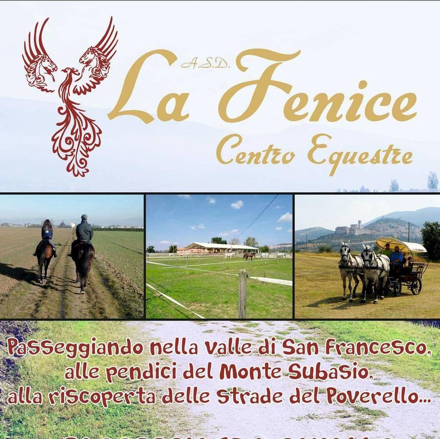 Hotel Assisivm Antica Dimora Ad Extérieur photo